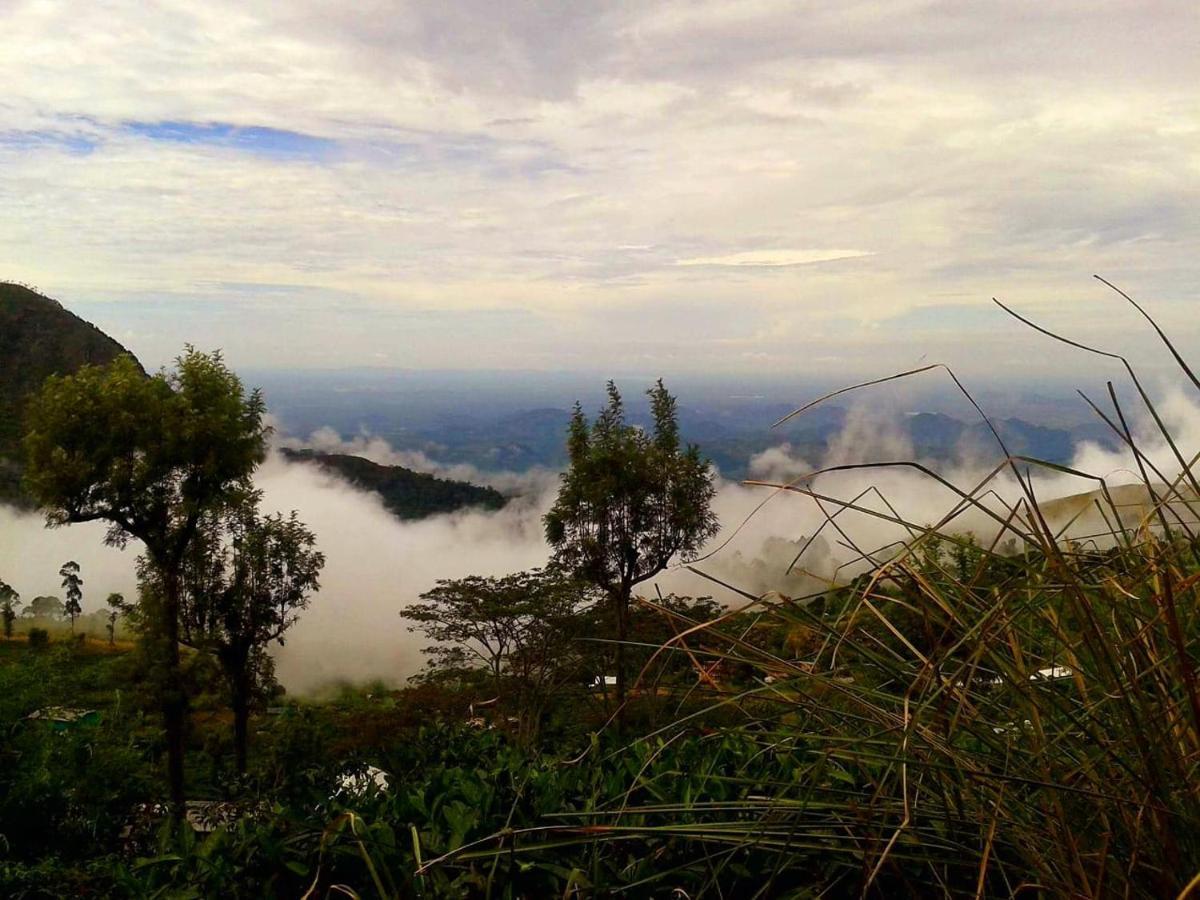 Bel View Guest House هابيوتيل المظهر الخارجي الصورة